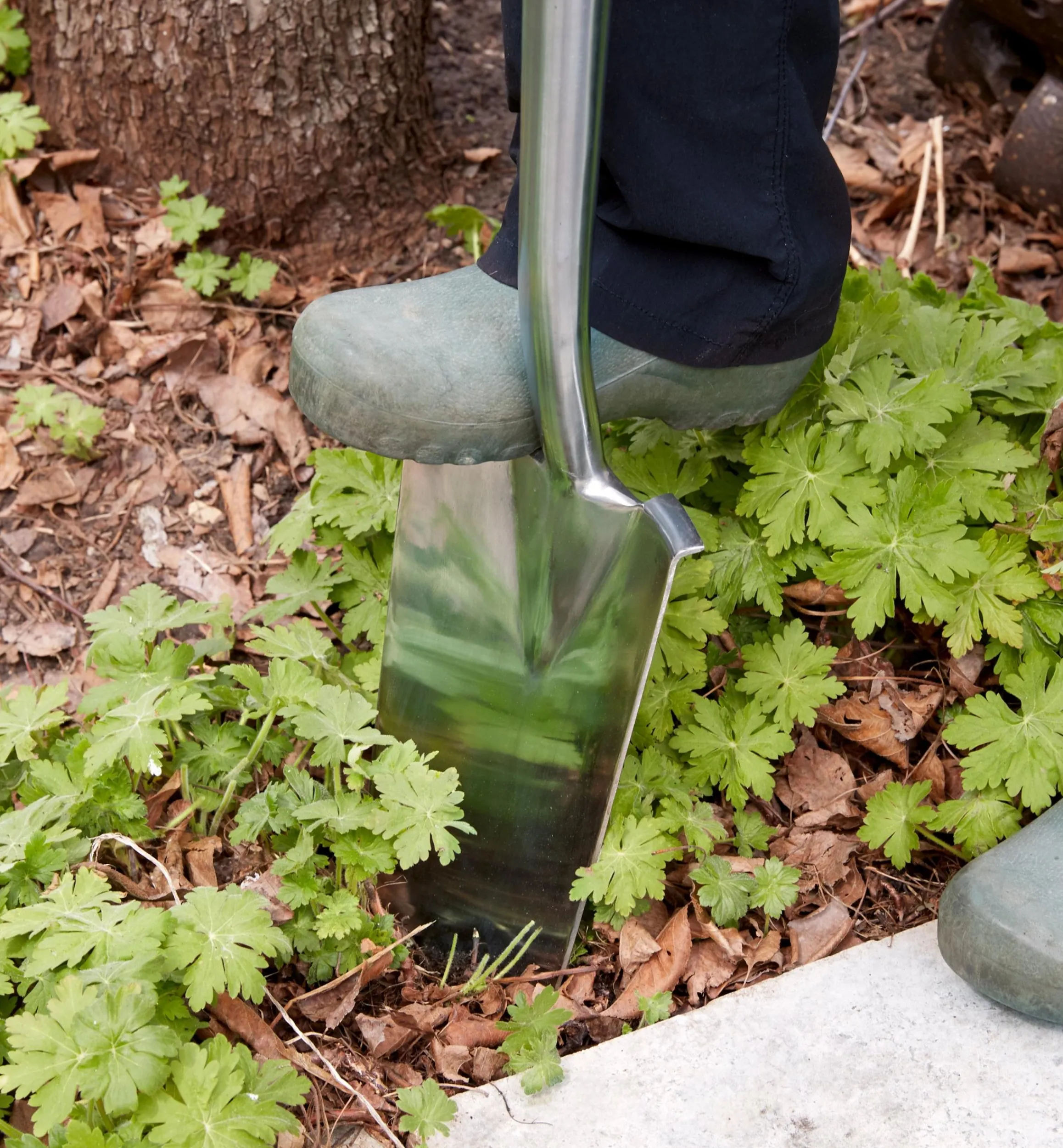Lee Valley Spades>Stainless-Steel Transplant Spade