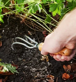 Lee Valley Garden Care><noscript><img width=