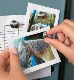 Lee Valley Magnets|Magnets><noscript><img width=