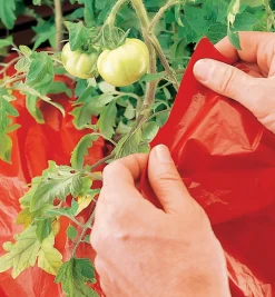 Lee Valley Weeding>Super Red Mulch