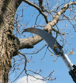 Lee Valley Saws>Telescoping Aluminum Pole Saw