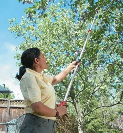 Lee Valley Pruners><noscript><img width=