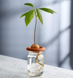 Lee Valley Propagation><noscript><img width=