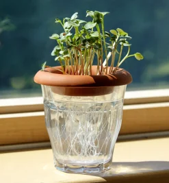 Lee Valley Propagation><noscript><img width=