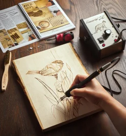 Lee Valley Power Tools>The Razertip SE Wood Burning Kit