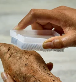 Lee Valley Personal Care>The World's Kindest Nail Brush