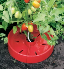 Lee Valley Weeding>Tomato Craters