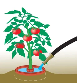 Lee Valley Weeding><noscript><img width=