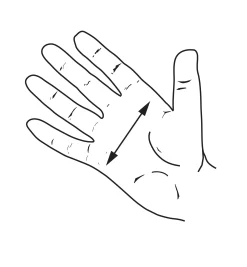 Lee Valley Planes><noscript><img width=