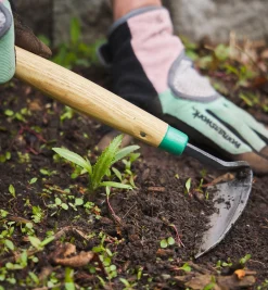 Lee Valley Weeding>Traditional Japanese Weeder