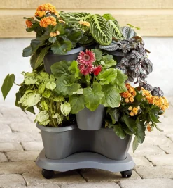 Lee Valley Container Gardening><noscript><img width=
