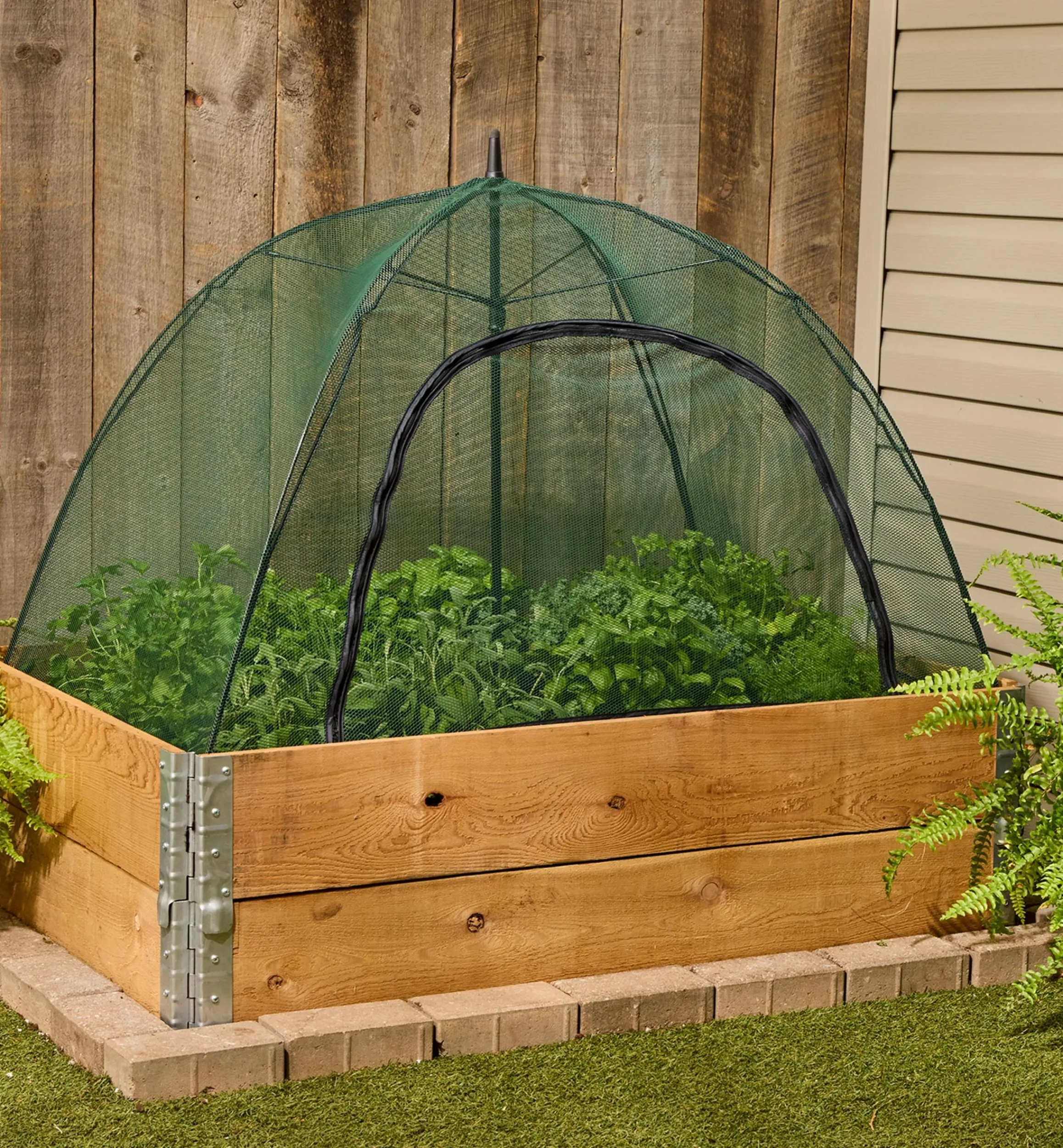 Lee Valley Pest Control>Umbrella Plant Dome