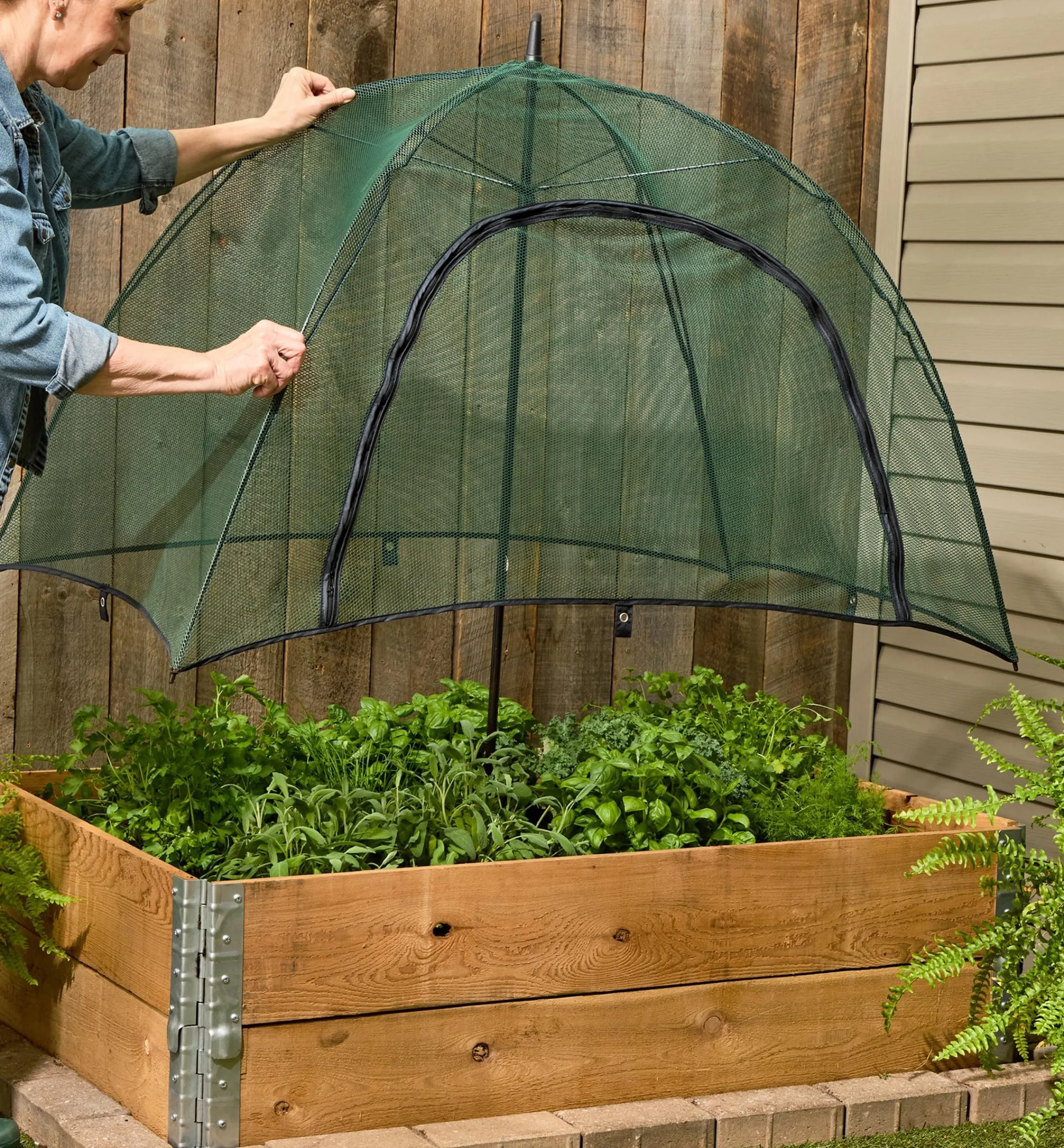 Lee Valley Pest Control>Umbrella Plant Dome