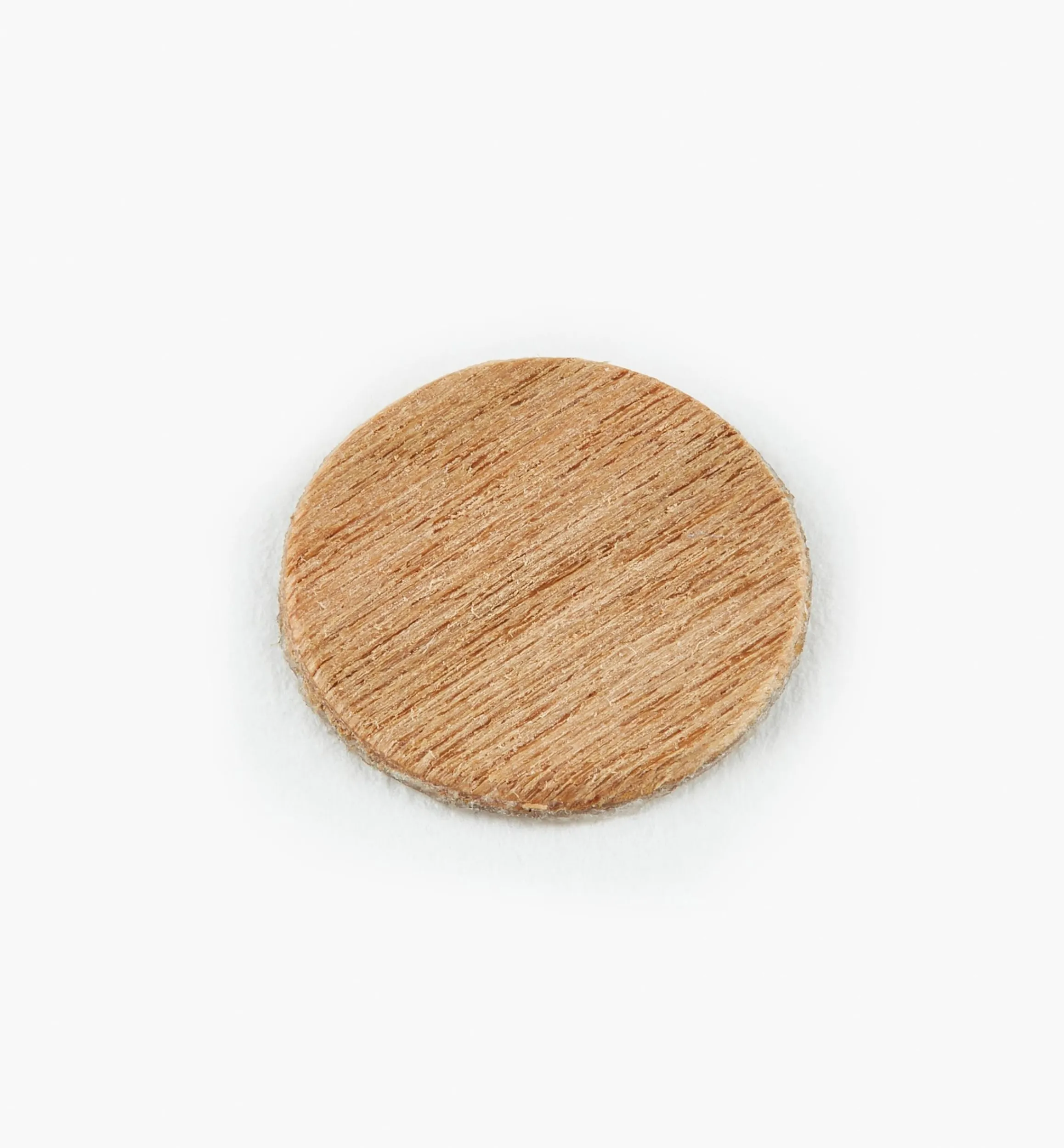 Lee Valley Fasteners>Unfinished Wood Screw Covers