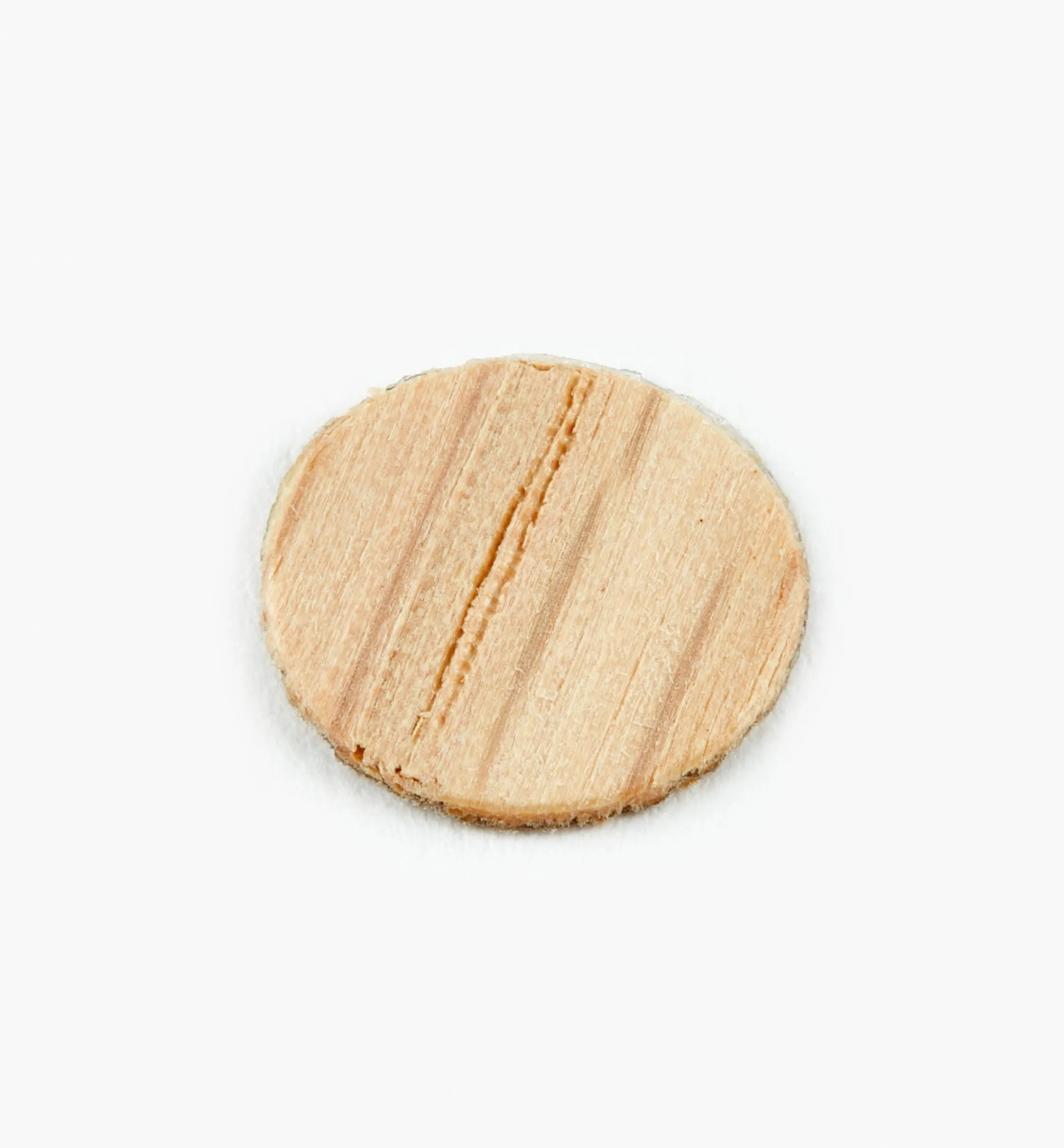 Lee Valley Fasteners>Unfinished Wood Screw Covers