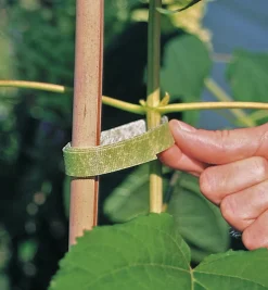 Lee Valley Ties & Clips>VELCRO® Plant Tie