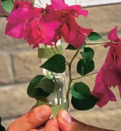 Lee Valley Ties & Clips><noscript><img width=