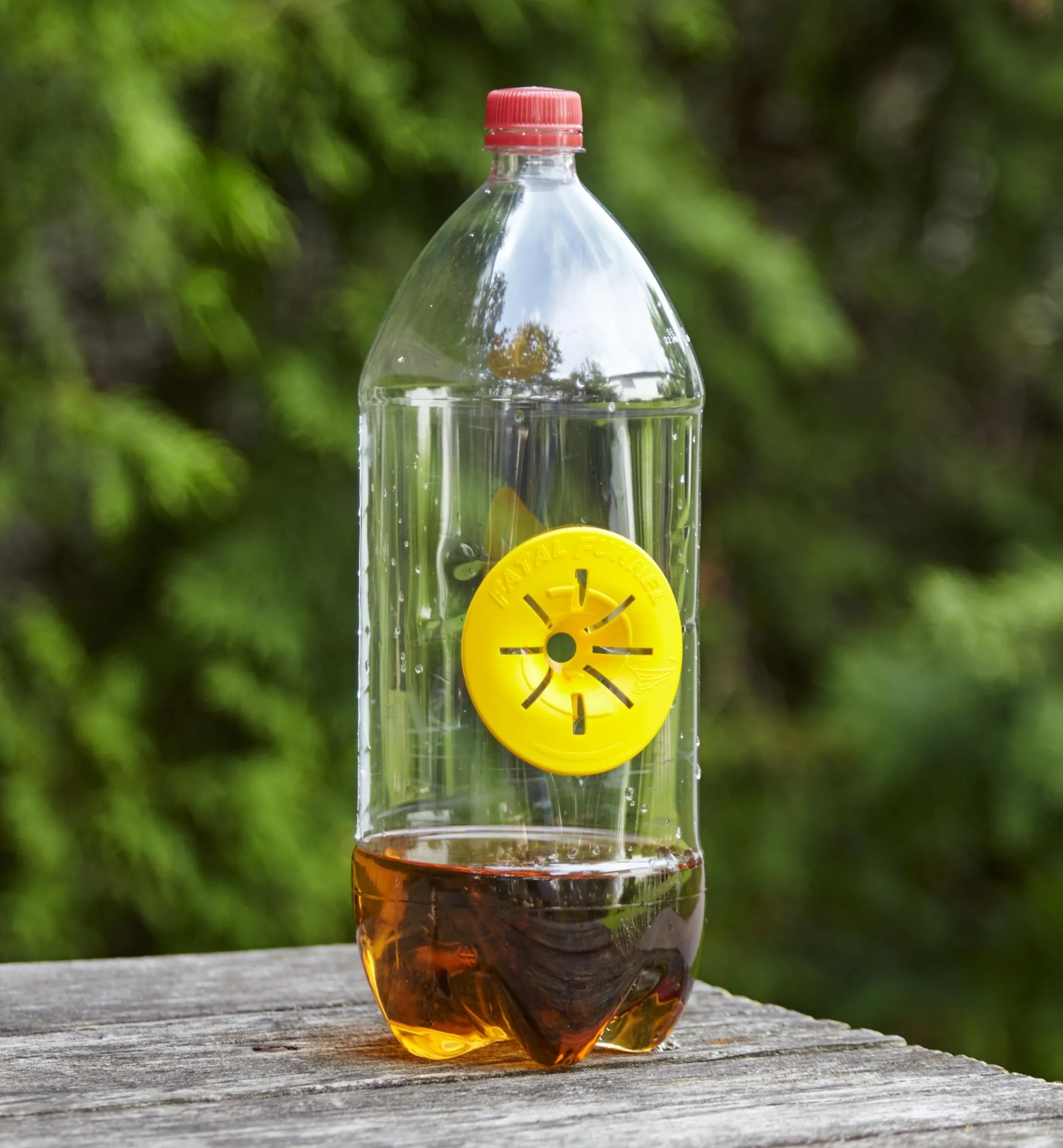 Lee Valley Pest Control>Wasp & Hornet Trap