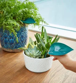 Lee Valley Indoor Gardening>Watering Leaves