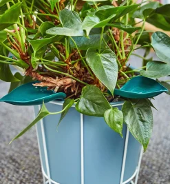 Lee Valley Indoor Gardening><noscript><img width=