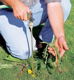 Lee Valley Weeding><noscript><img width=