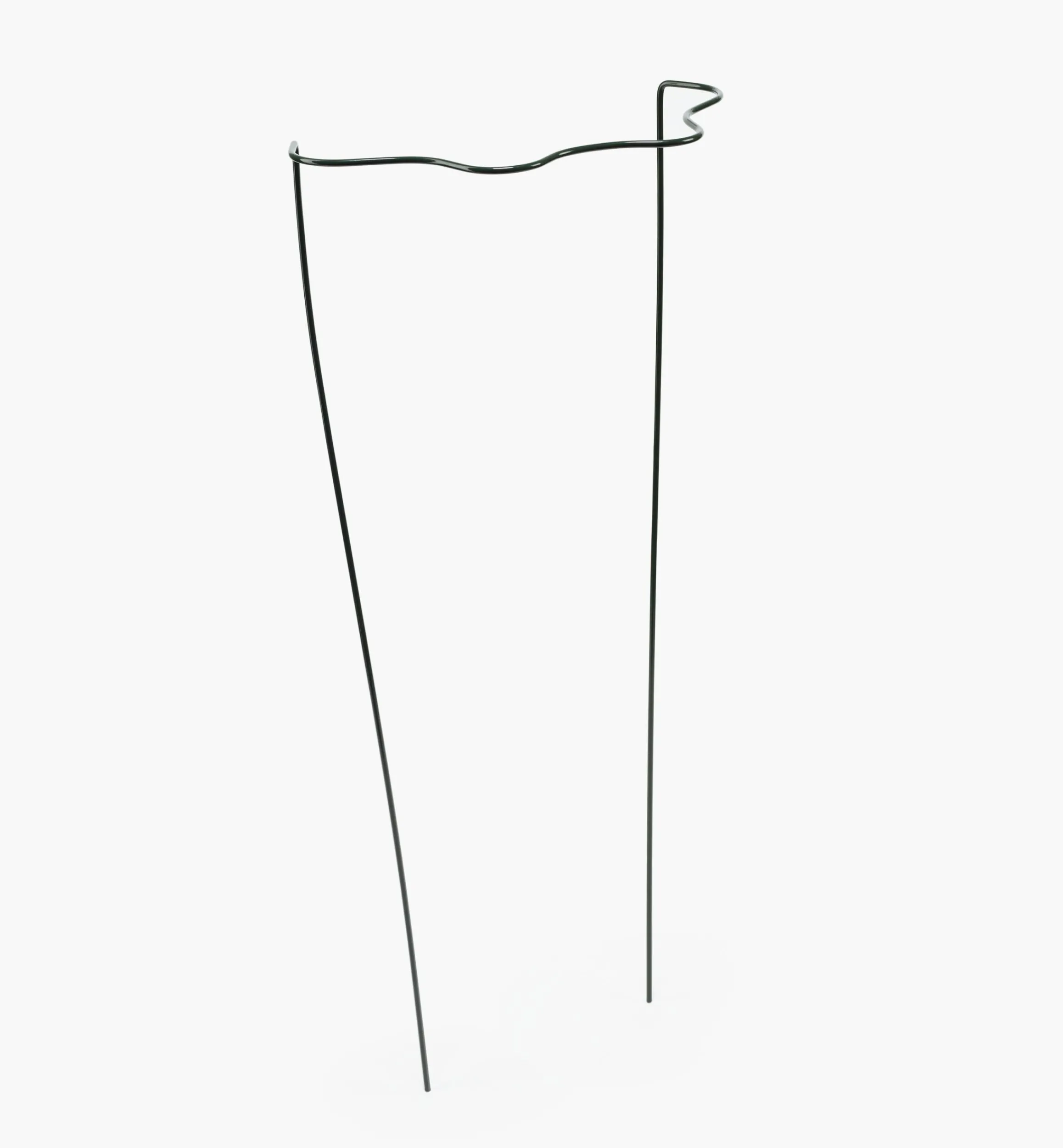 Lee Valley Stakes>Wavy Half-Circle Support