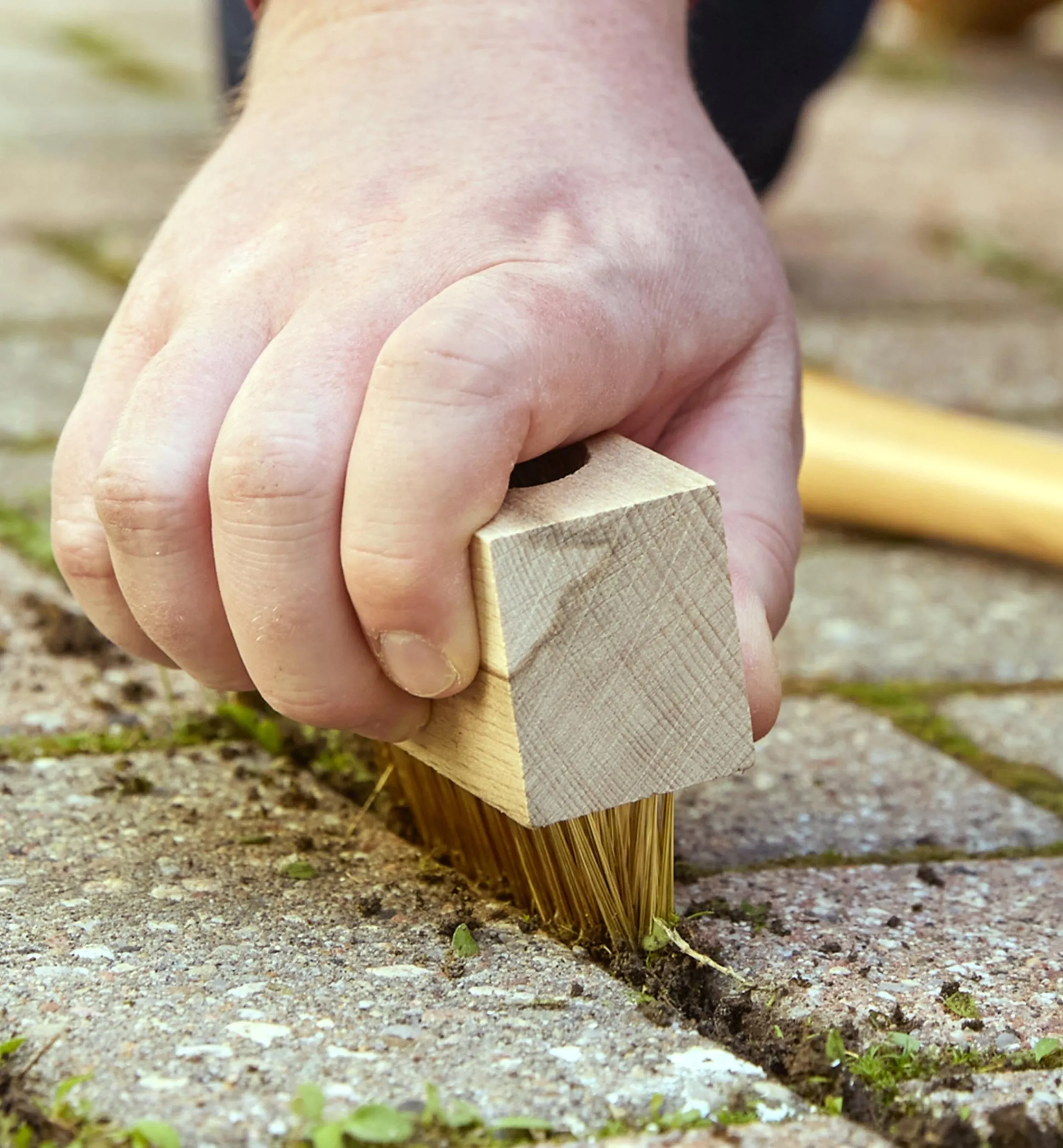 Lee Valley Garden Care>Weed Brush