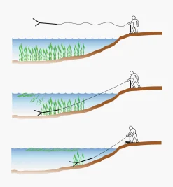 Lee Valley Weeding><noscript><img width=