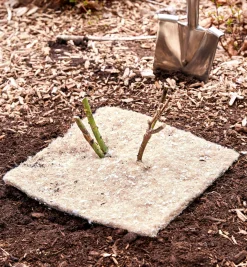 Lee Valley Weeding><noscript><img width=