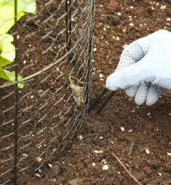 Lee Valley Plant Protection>Wire Plant Protectors