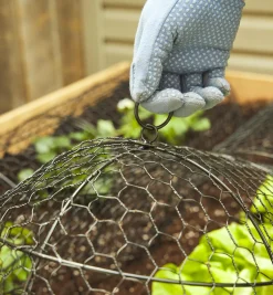 Lee Valley Plant Protection><noscript><img width=