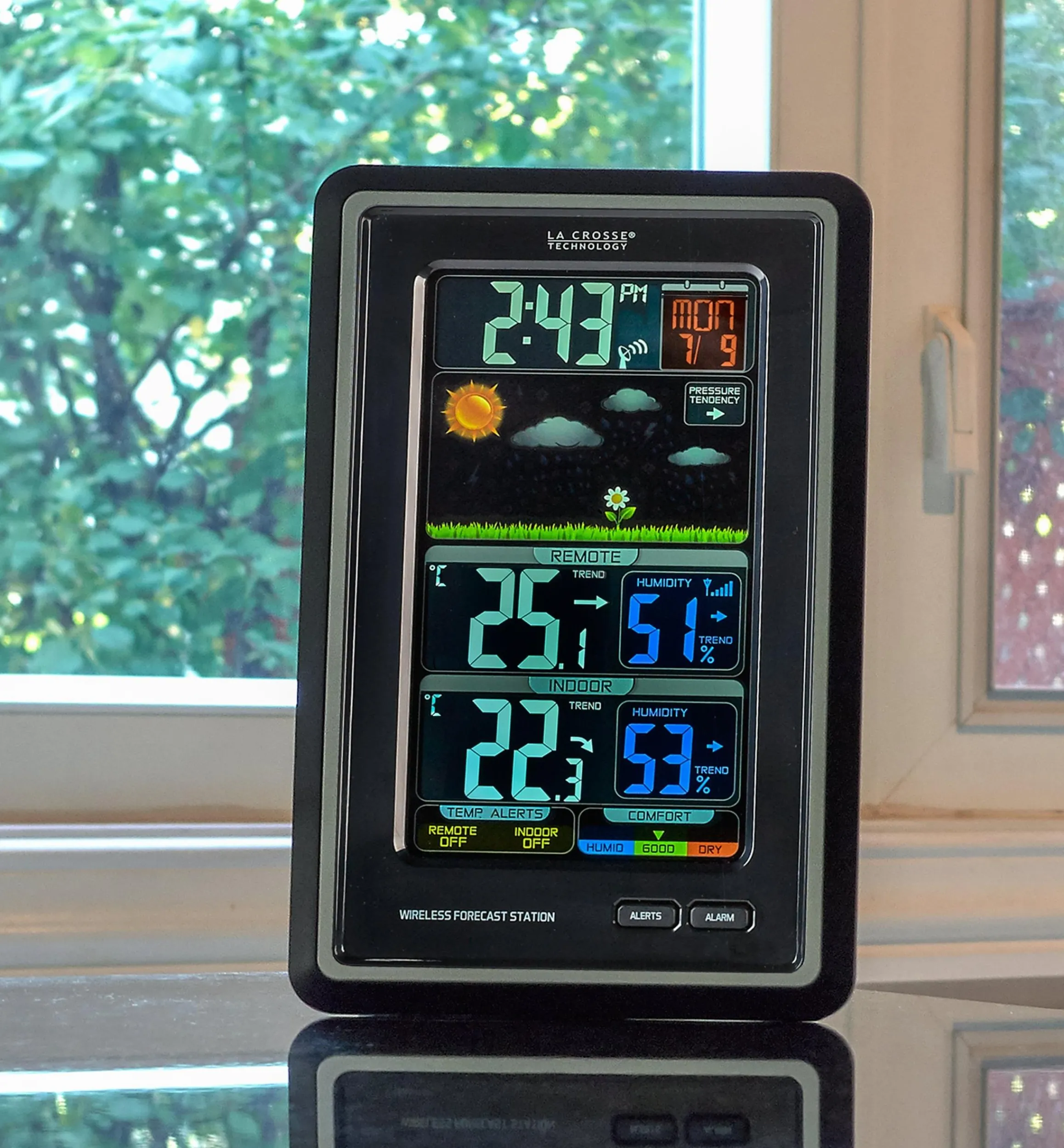 Lee Valley Weather Measurement>Wireless Color Forecast Station