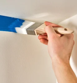 Lee Valley Supplies>Zibra 2" Chiselled Wedge Brush